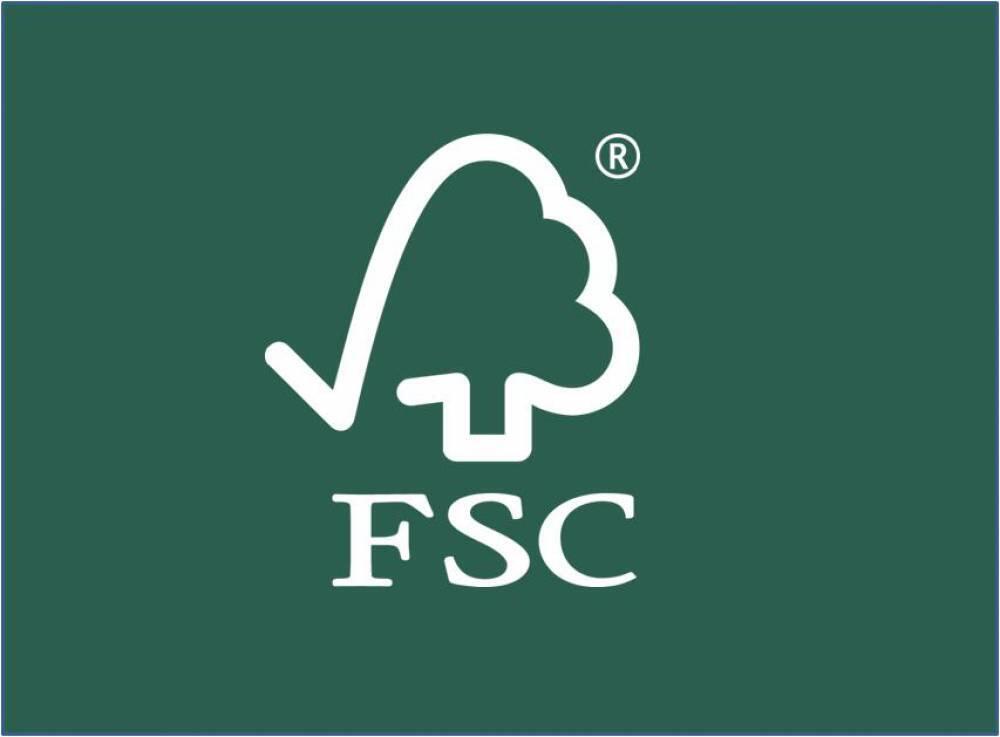 logo fsc - 0
