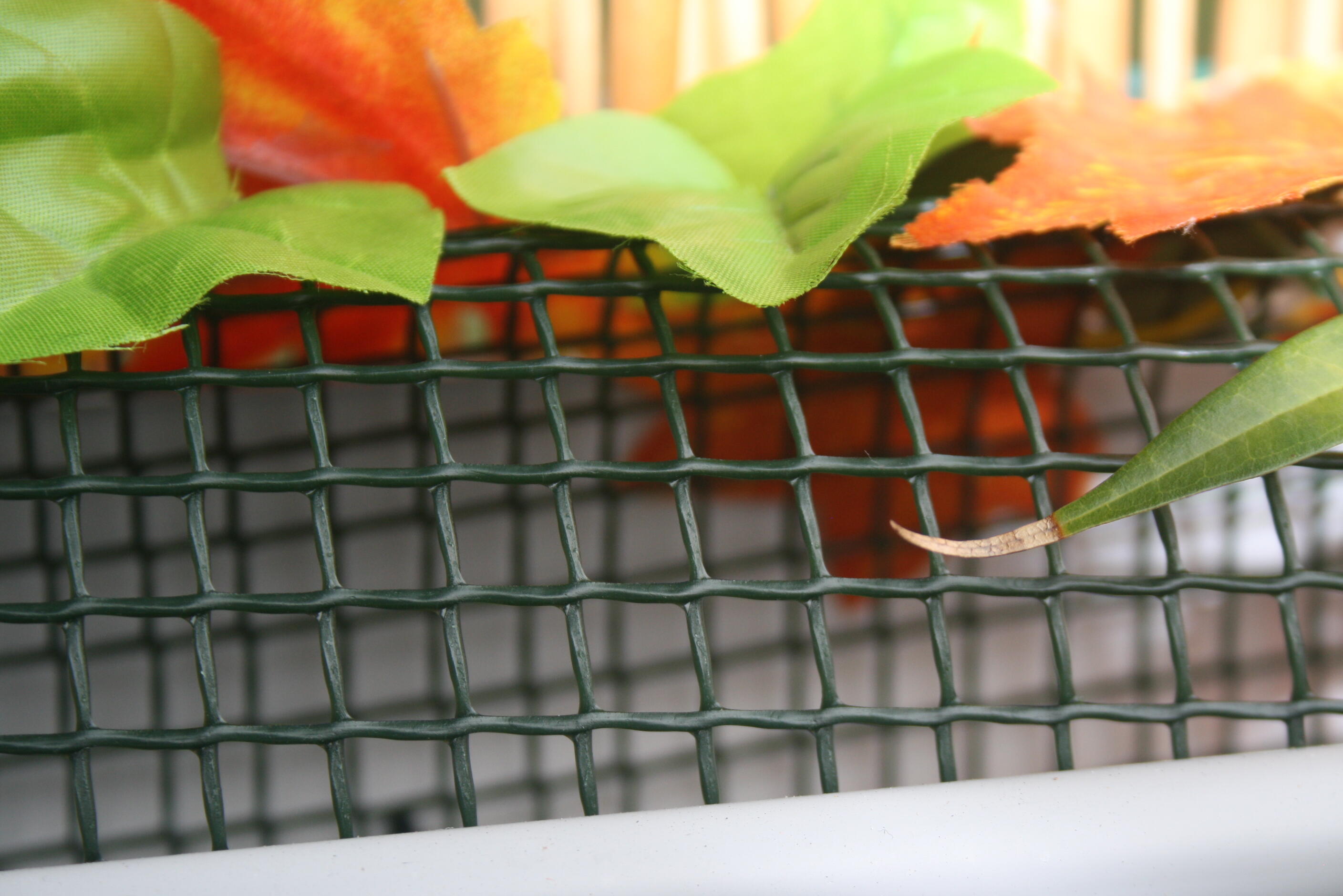 Grillage pour animaux soudé 6051072 vert, H.0.5 x L.3 m, maille H.12 x l.12.7 mm - 2