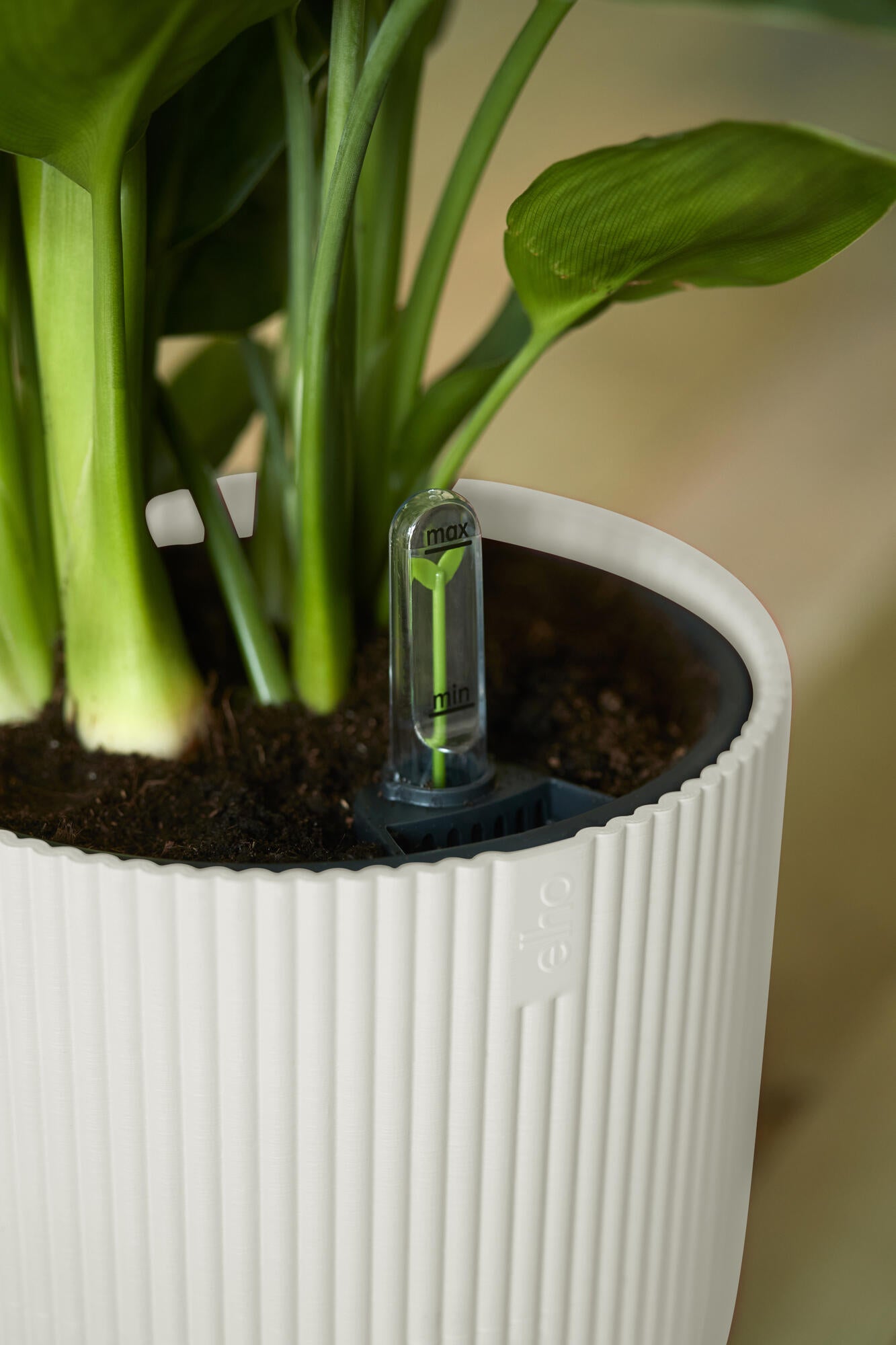 VIBES FOLD ROND 30 BLANC SOIE - 3