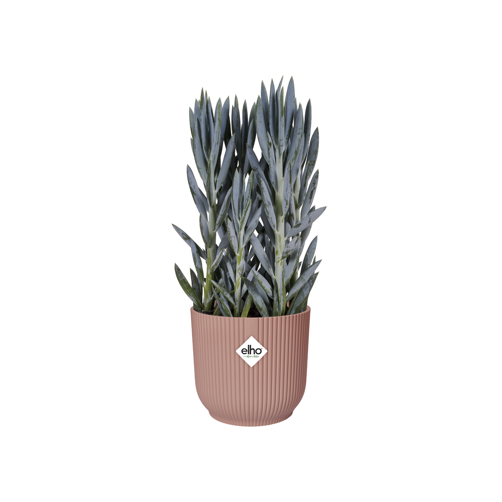 VIBES FOLD ROND 30 ROSE POUDRE - 8