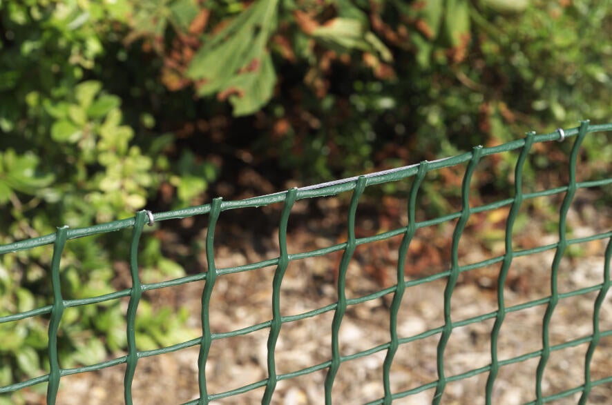 Grillage pour animaux soudé 6051072 vert, H.0.5 x L.3 m, maille H.12 x l.12.7 mm - 3