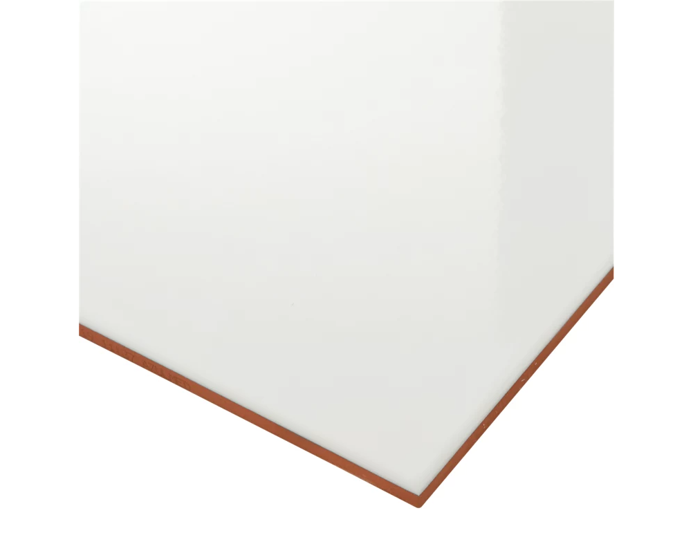 Piastrella da rivestimento interno 25 x 40 cm Sp. 8.6 mm Frosty in maiolica smaltato bianco lucido 1.6 mq - 7