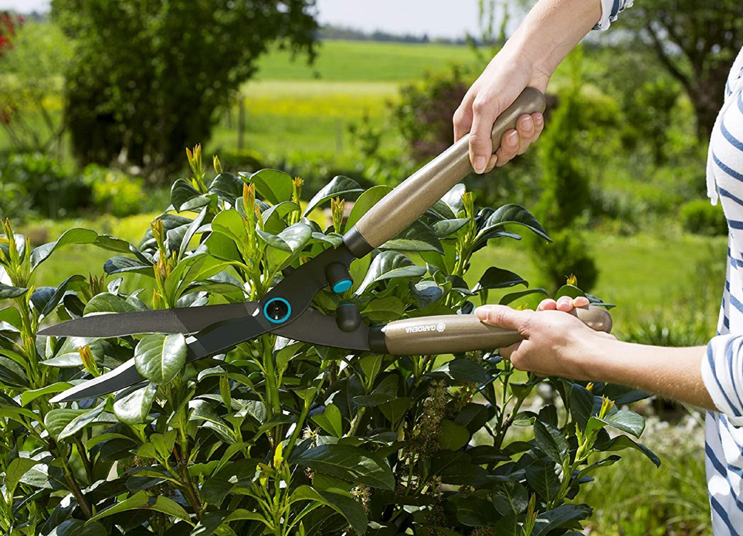 Cesoia tagliasiepi con lama ondulata 230 mm GARDENA NatureCut FSC 100% - 4