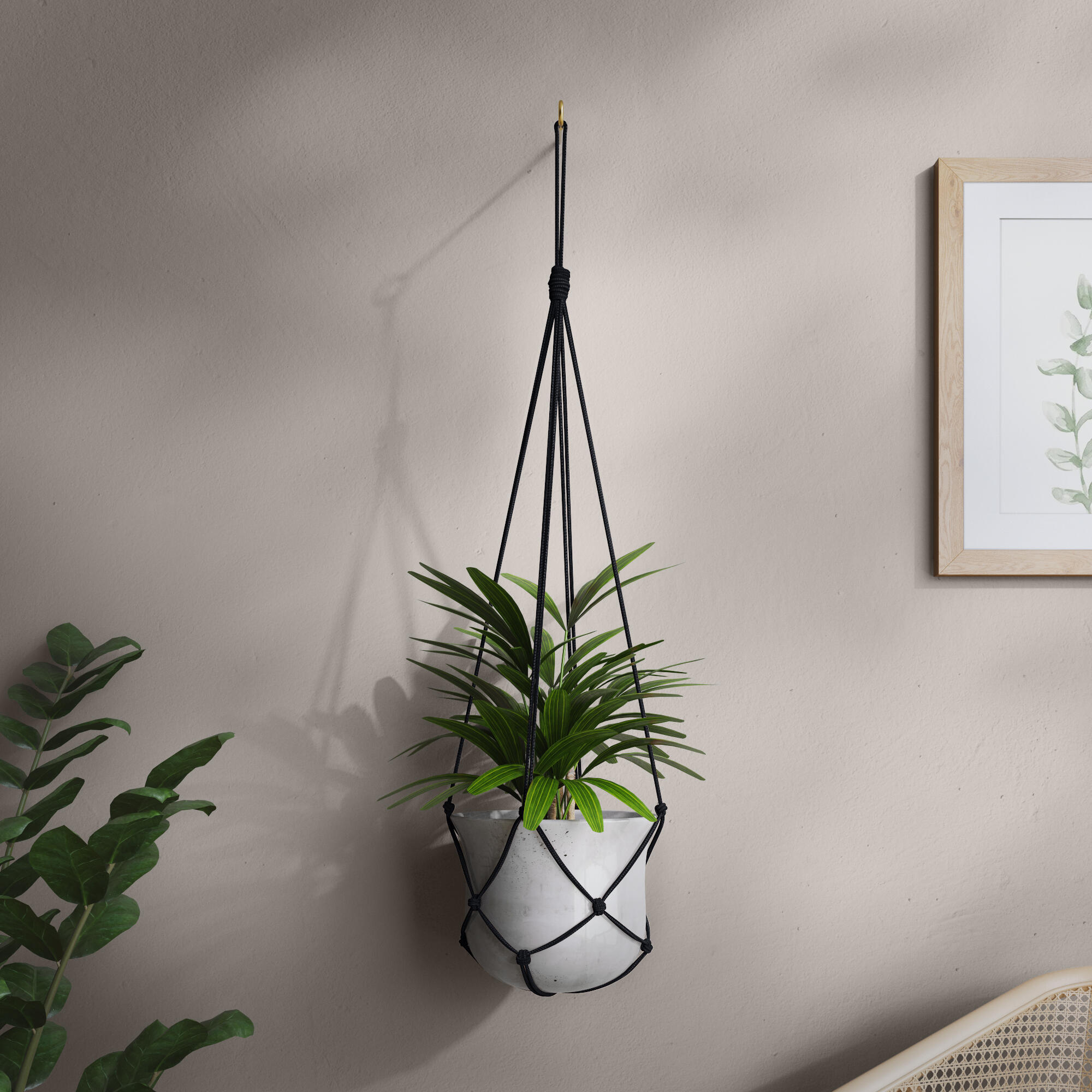 Corde polypropylène torsadé STANDERS Diam.8 mm x L.10 m - 6