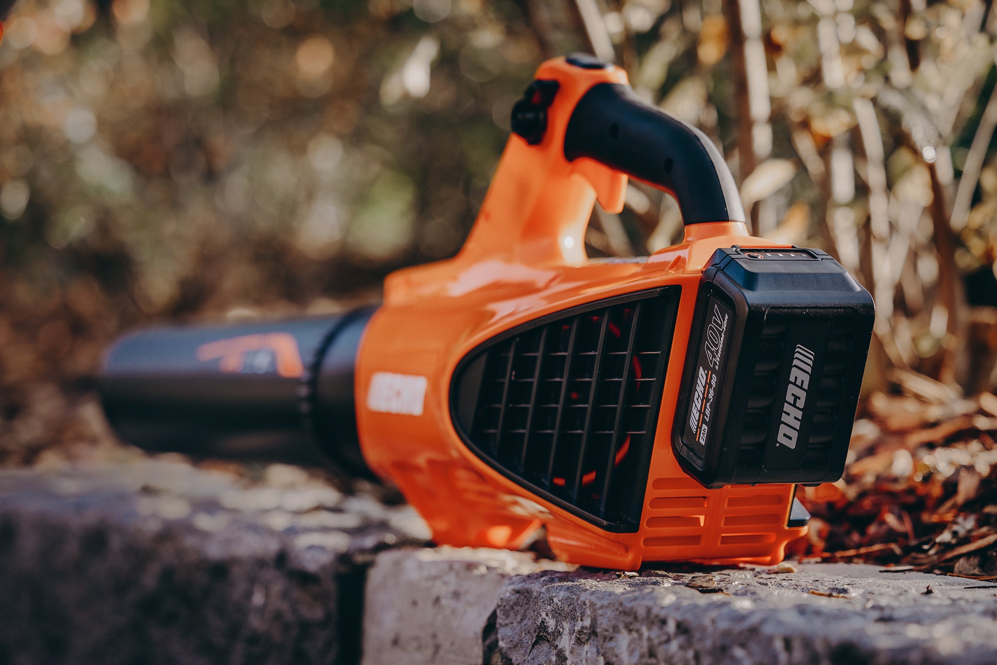 Soffiatore ECHO DPB310 , 40 V batteria non inclusa - 3