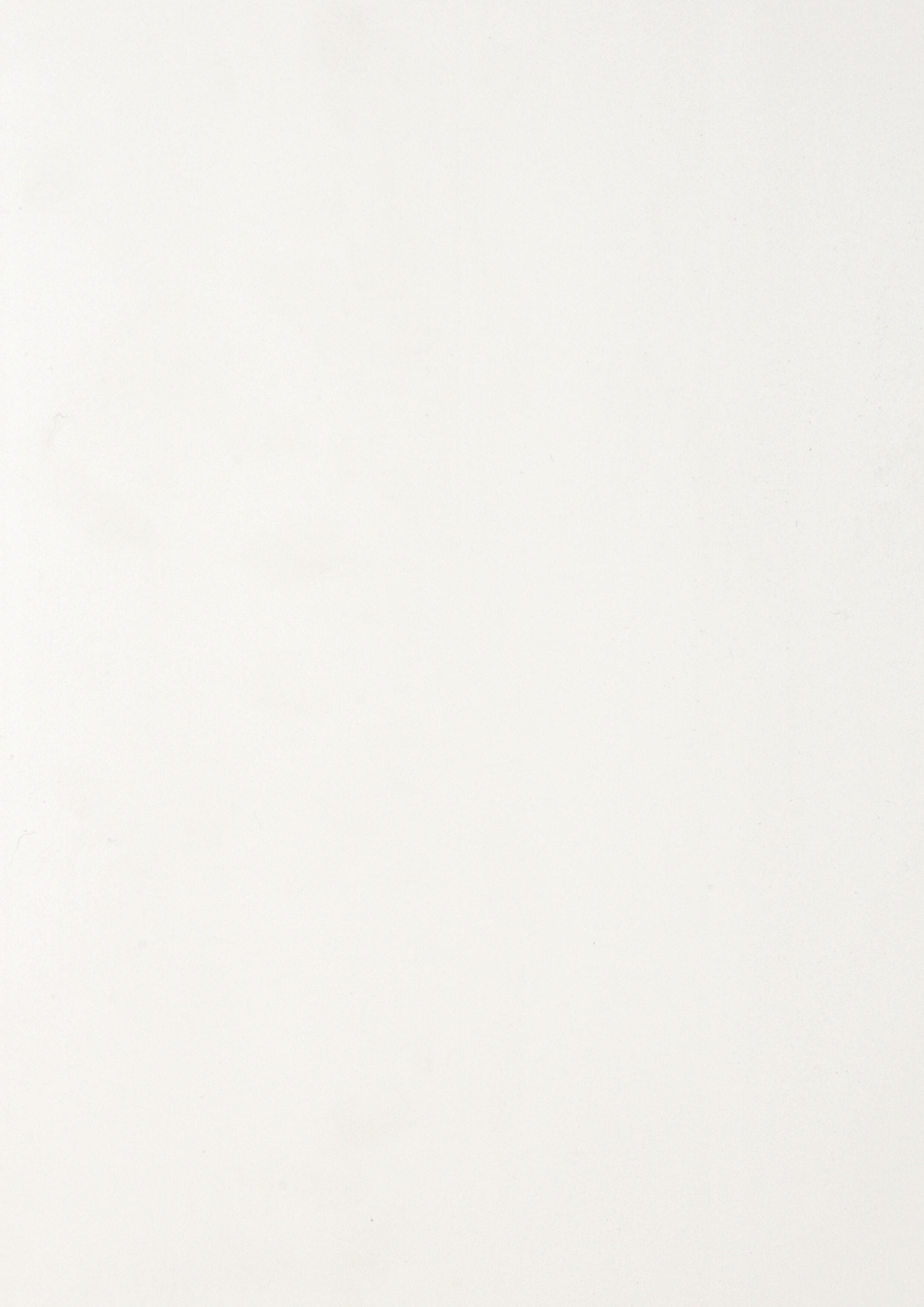 Revestimento de parede Dumapan em PVC branco mate 10x260 cm Dumaplast - 5