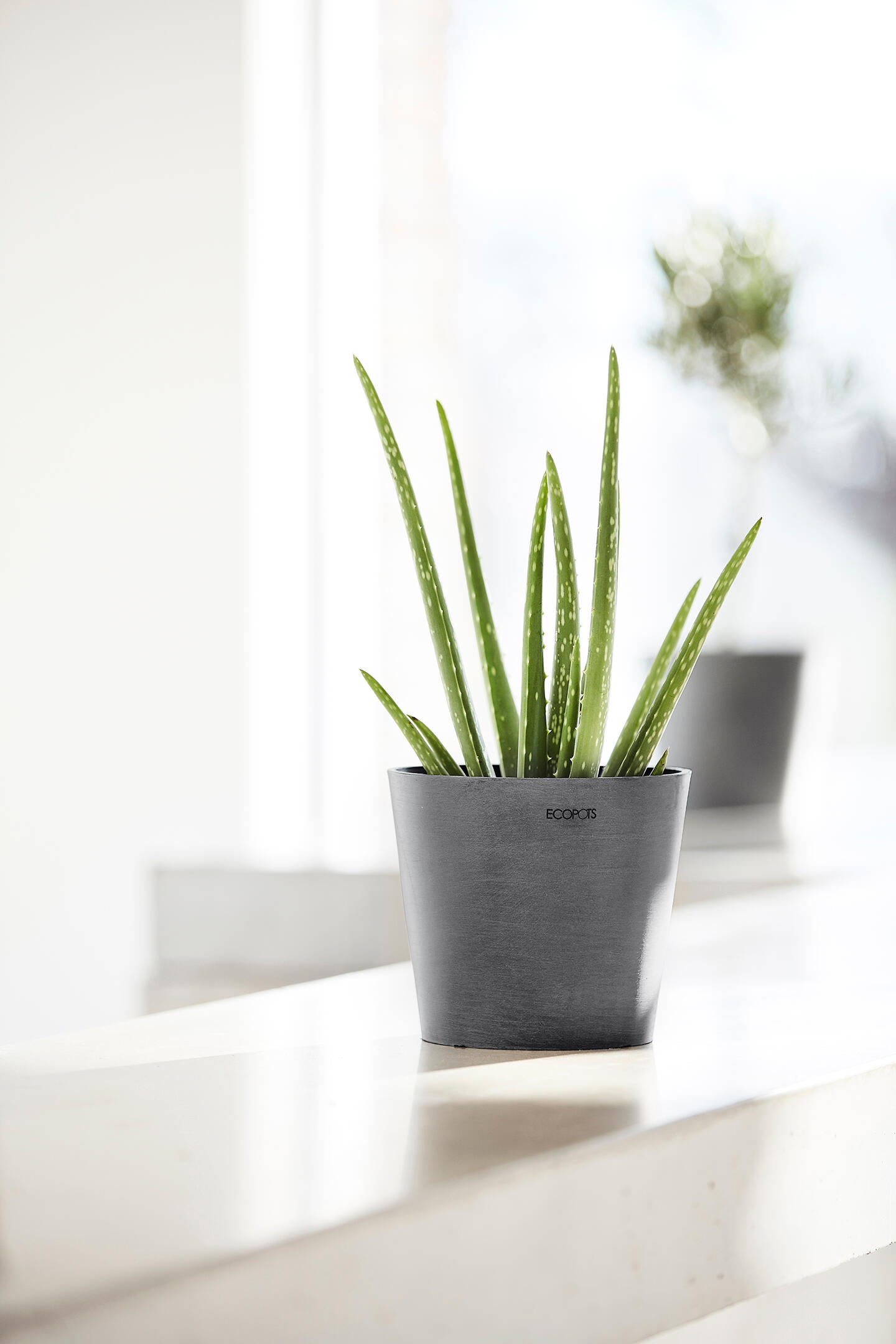 Vaso Amsterdam ECOPOT'S in polipropilene grigio H 15 x ø 17 cm - 2
