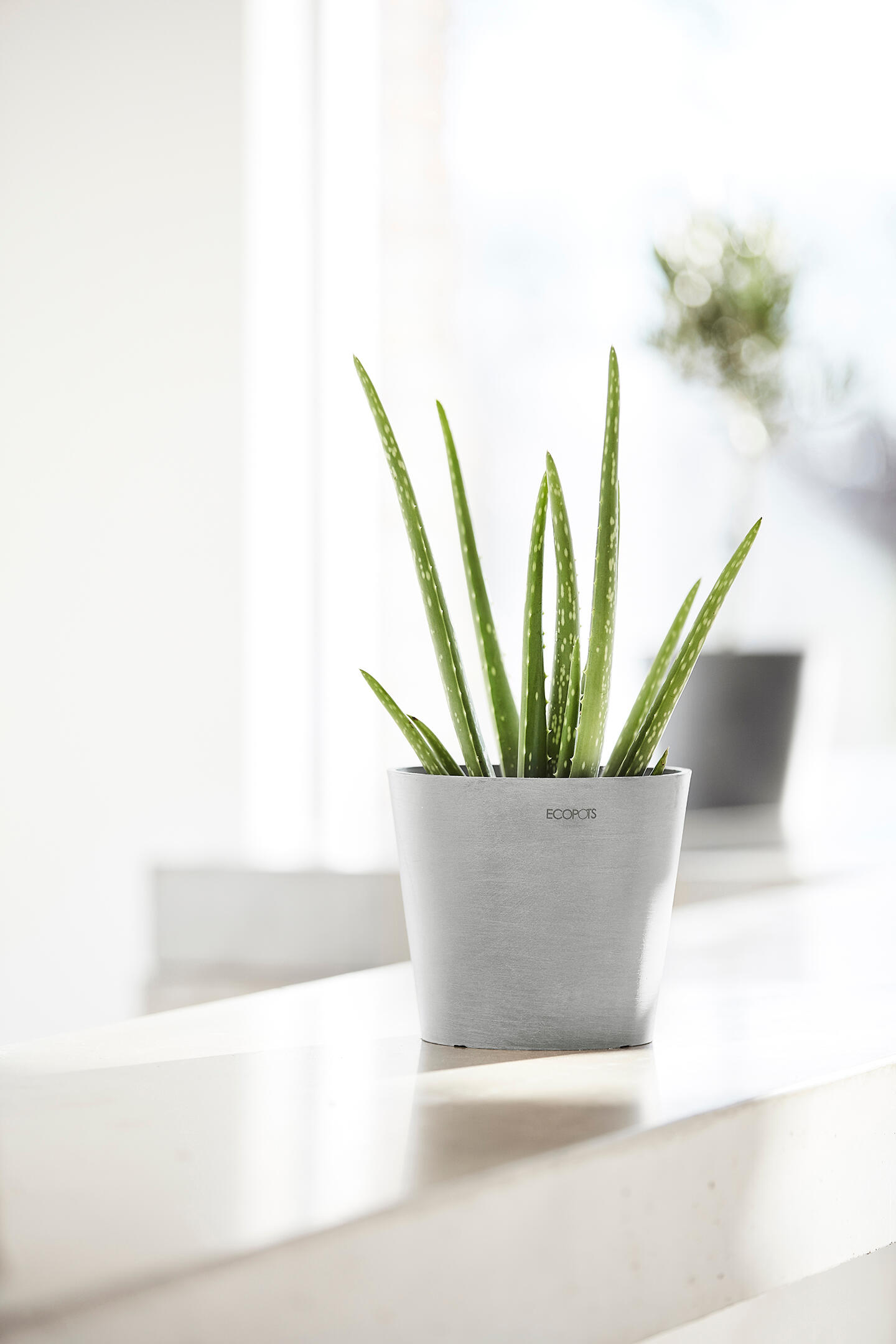 Vaso ECOPOT'S in PVC bianco H 15 x ø 17 cm - 2