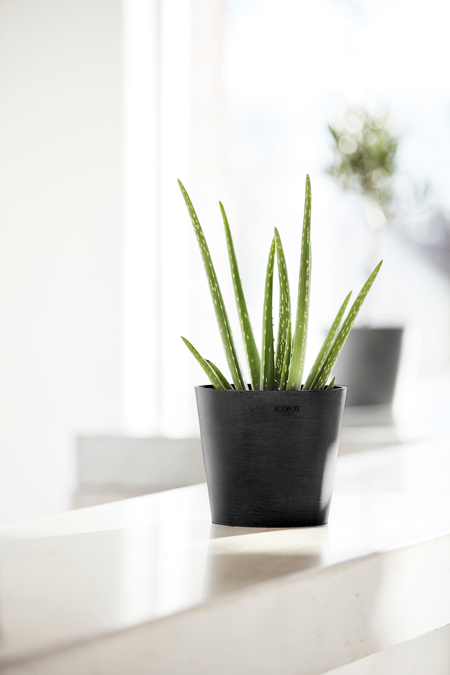 Vaso ECOPOT'S in PVC nero H 15 x ø 17 cm - 2