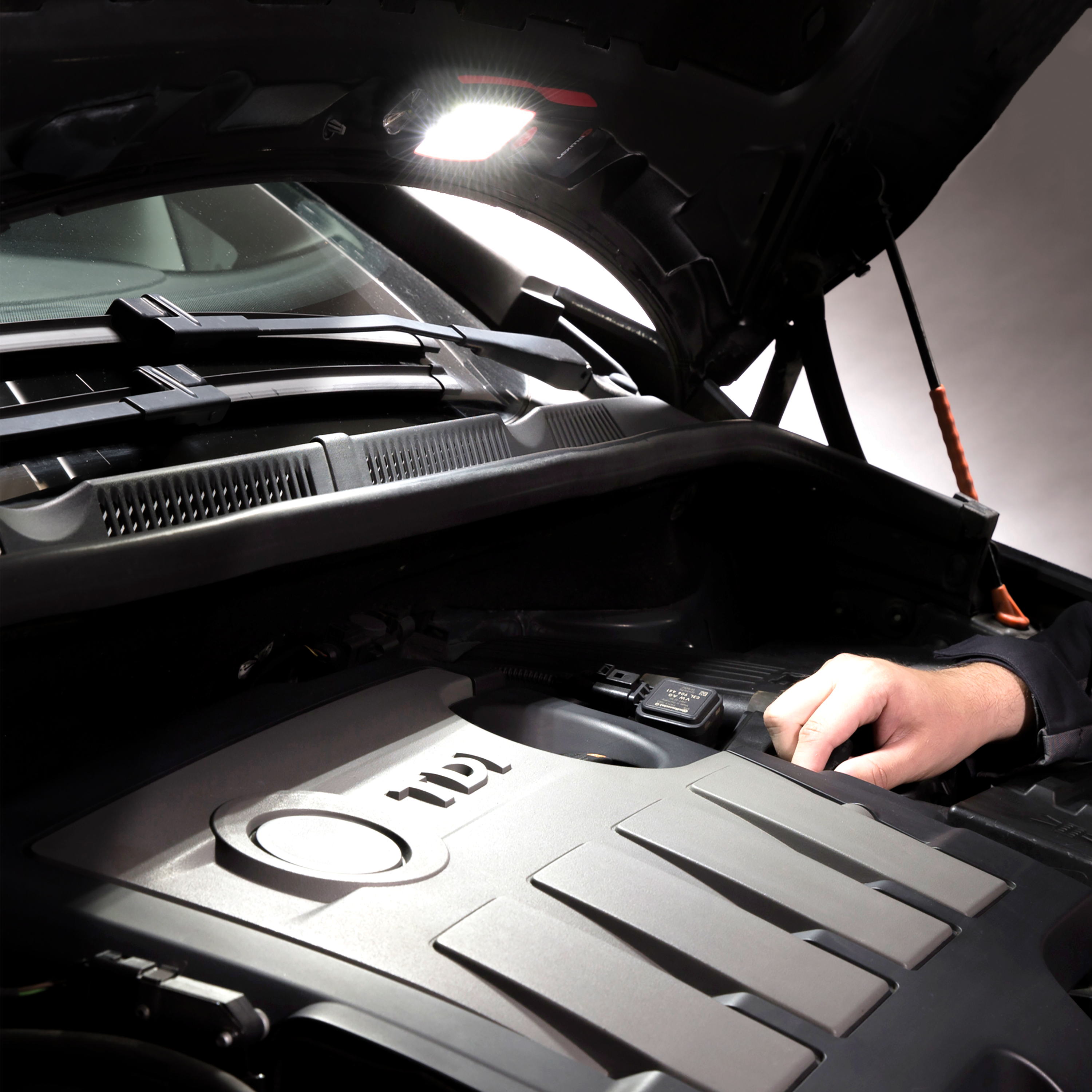 Torche 160 lm LEXMAN - 3