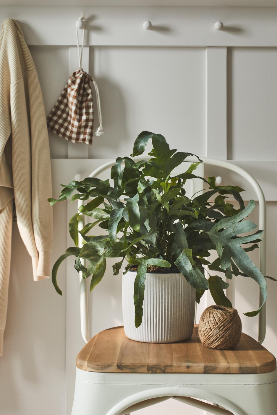 Photo Leroy Merlin d'une plante verte sur un tabouret dans une entrée. 