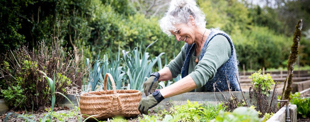 Que faire au jardin en avril : semer et planter au potager | Leroy Merlin