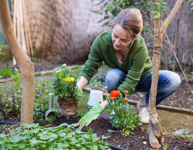 4 anti-mousse naturels pour terrasse - Paroles de jardiniers