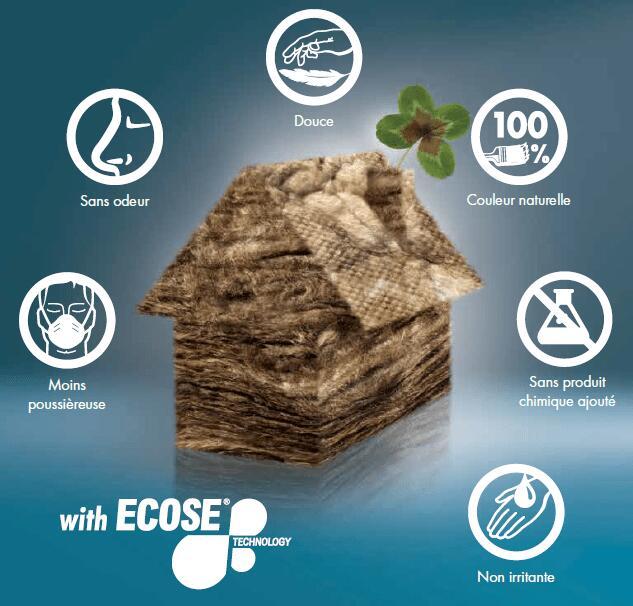 ecose  - 2