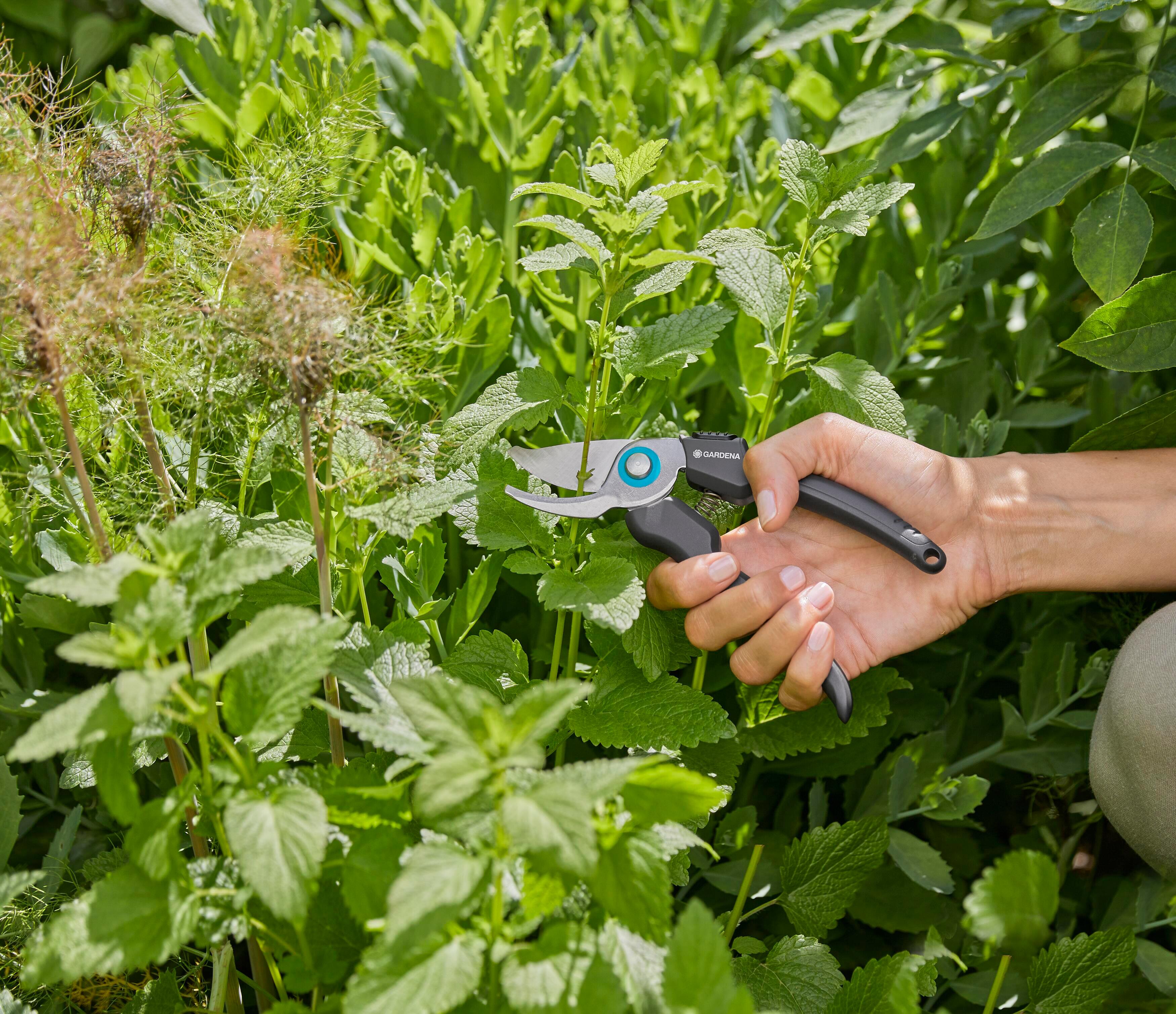 Sécateur à fleurs inox GARDENA Ecoline 12210-20 18 mm - 7