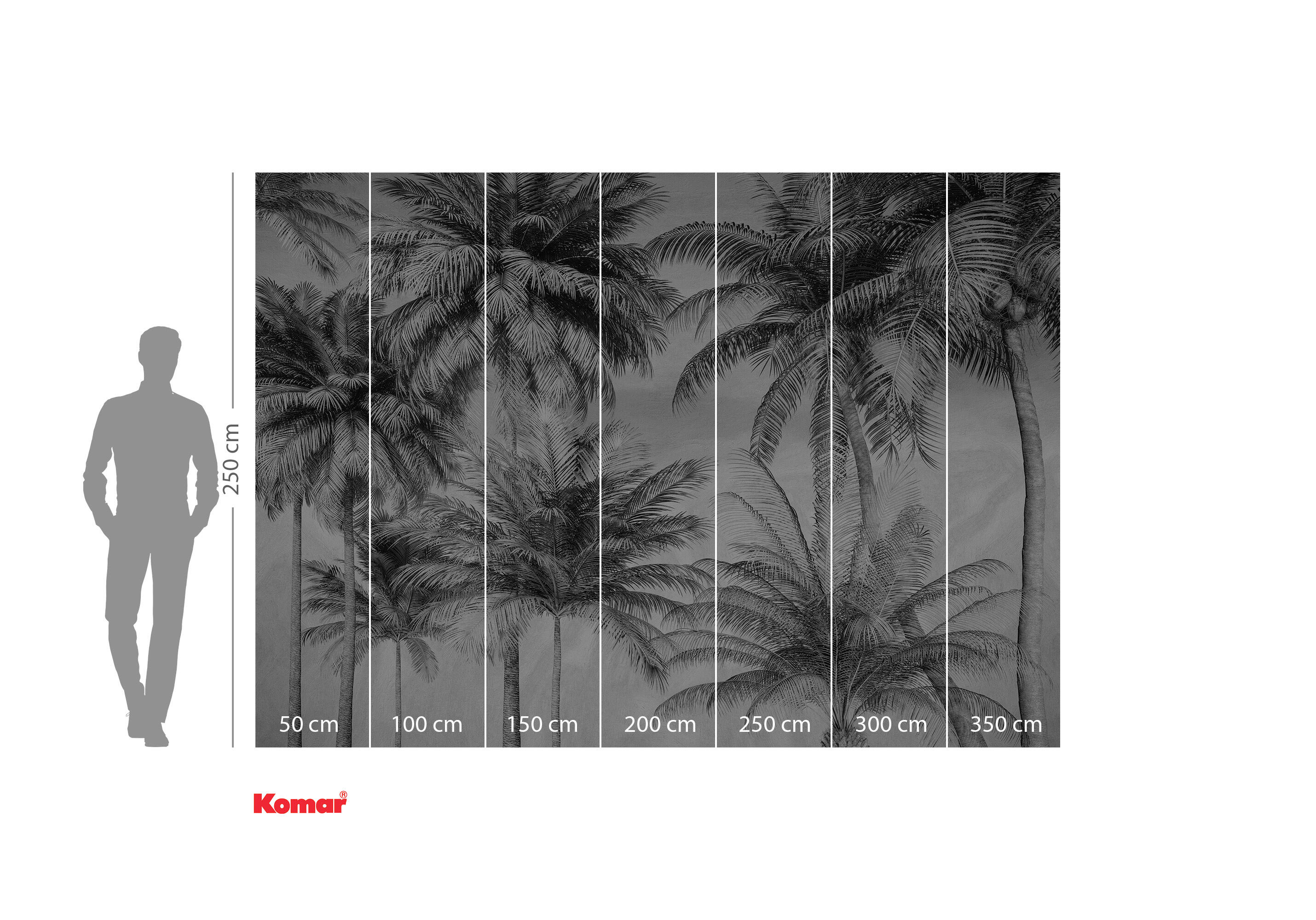 Mural TNT liso  Naturaleza Coco de Paradise gris 350 x 250 cm KOMAR - 4