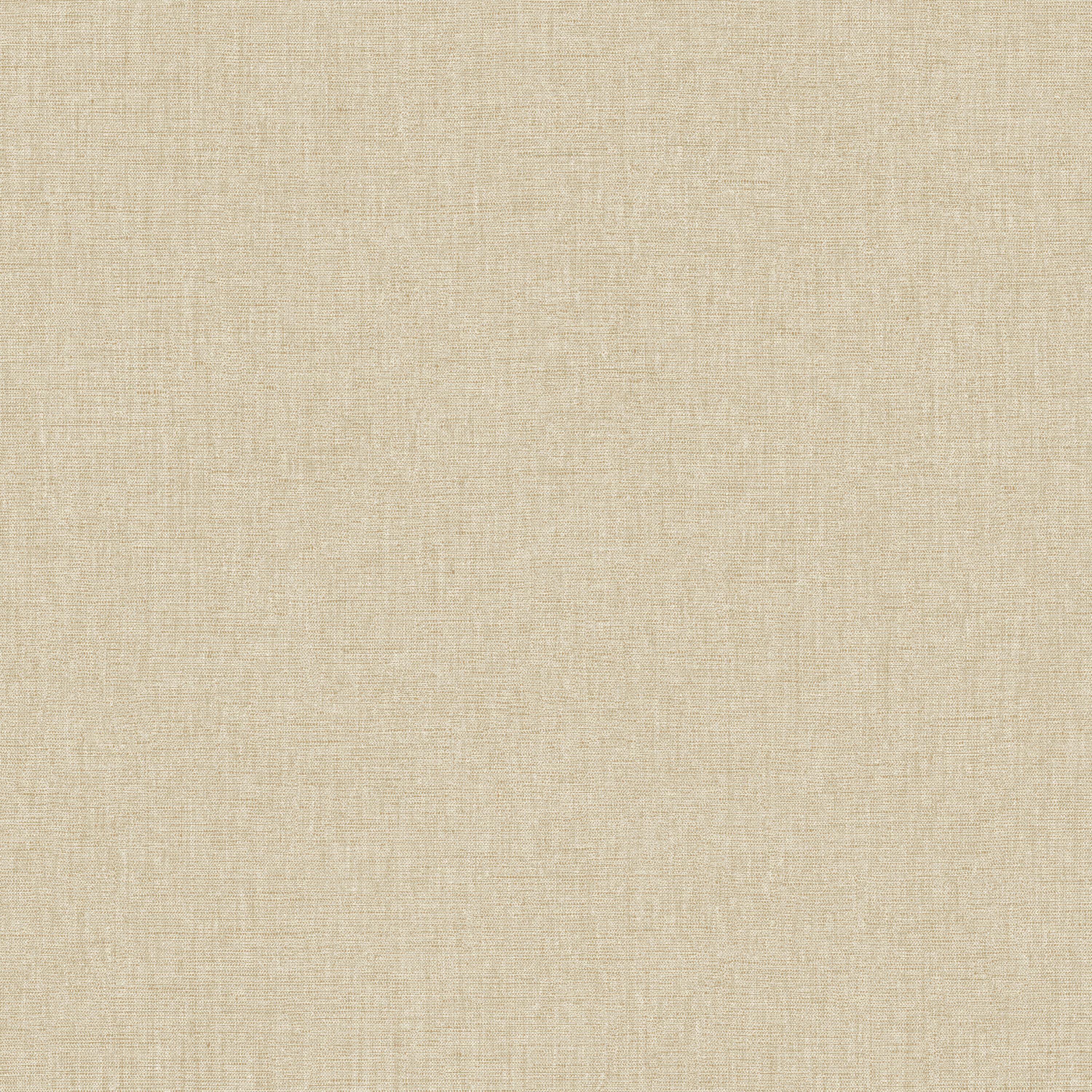 Papier peint intissé color box 3 uni mat beige | Leroy Merlin