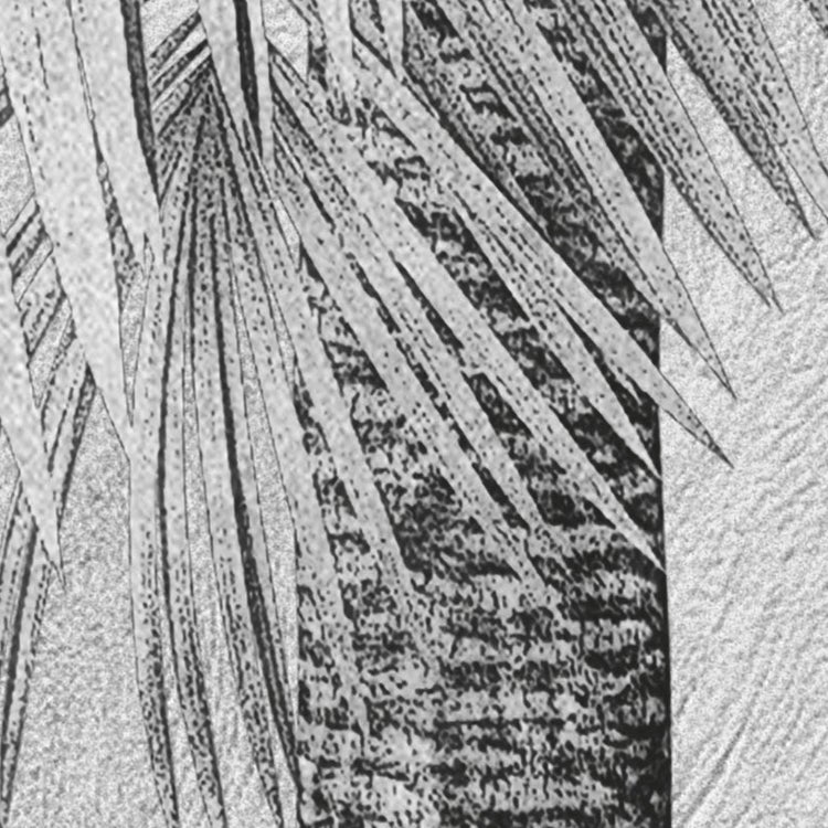 Papier peint panoramique coco paradis gris l.350 x H.250 cm - 3