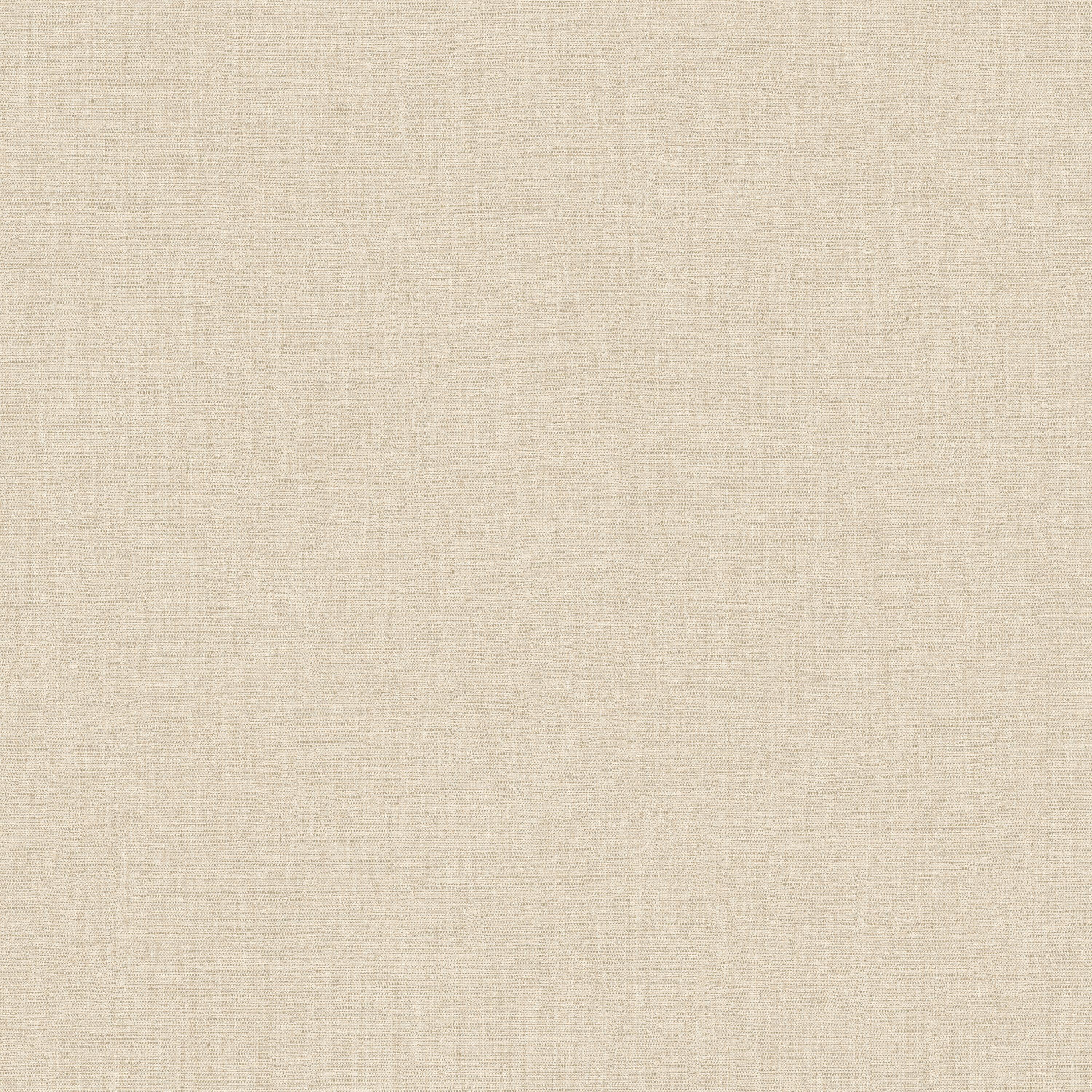 Papier peint intissé color box 3 uni mat beige | Leroy Merlin