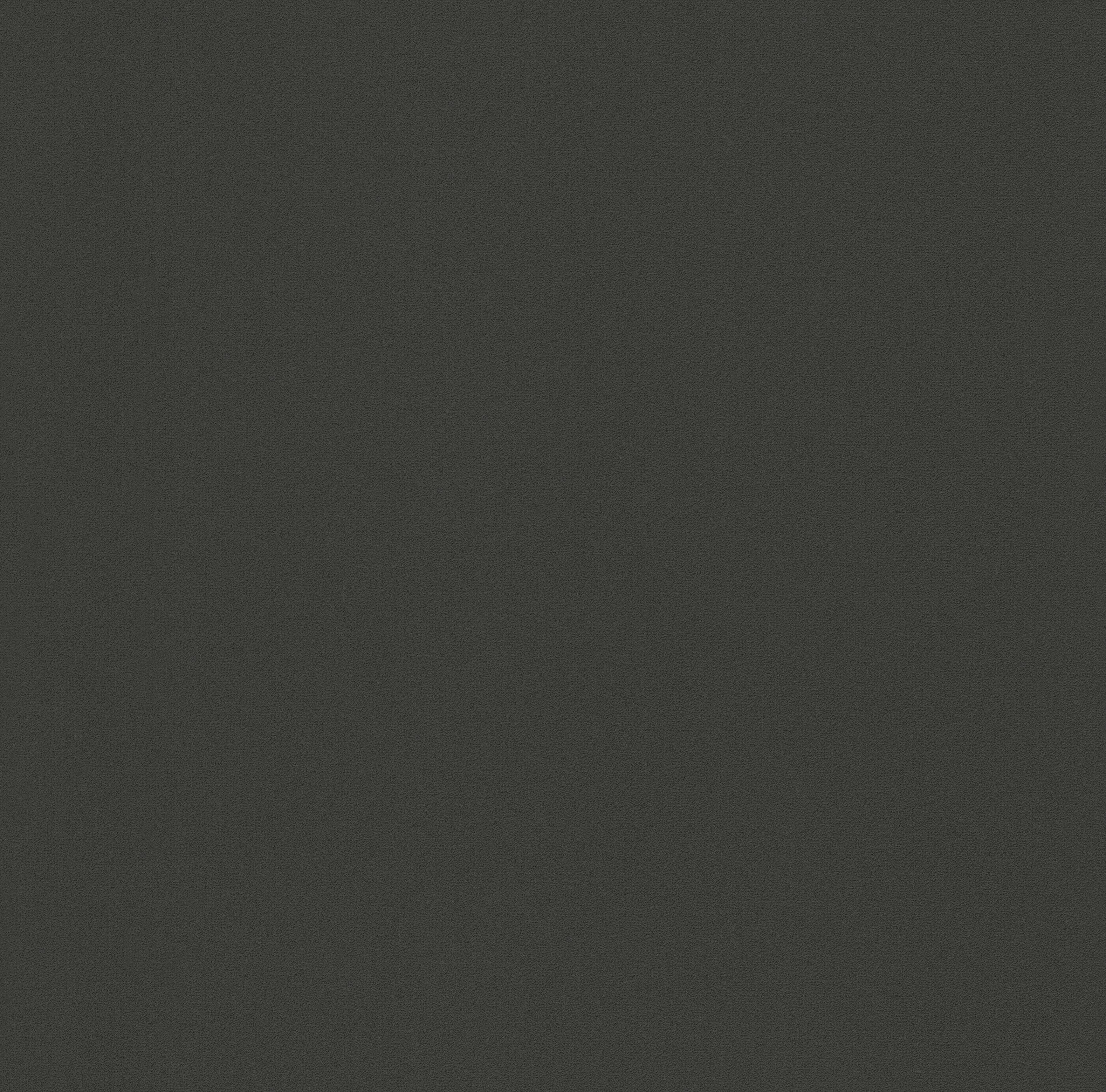 Papier peint intissé Lisse mat INSPIRE noir - 3