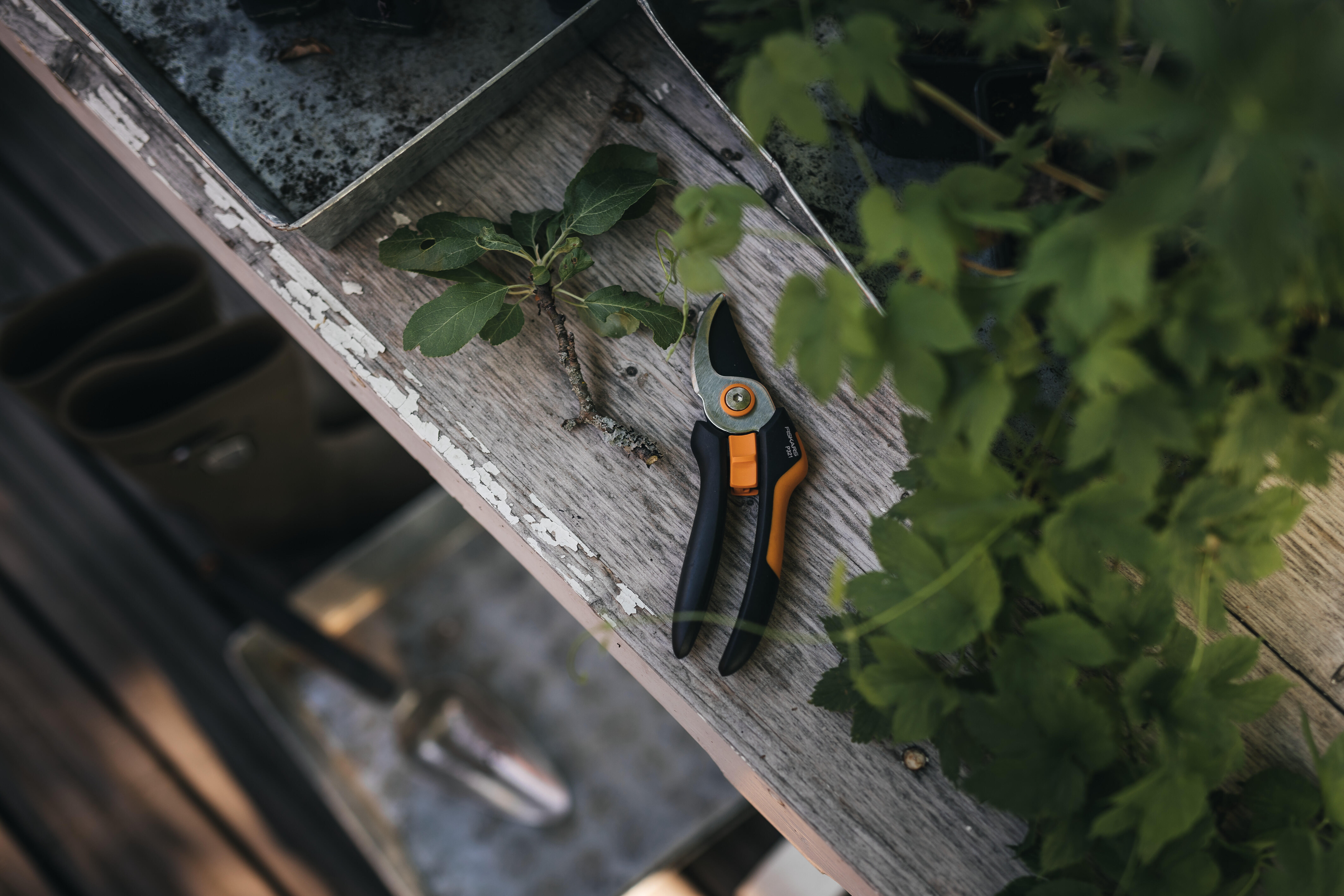 Potatore FISKARS SOLID BYPASS P321 lame in acciaio per rami fino a 20 mm - 5