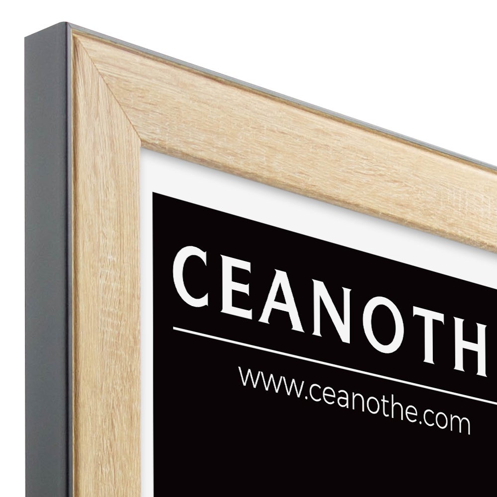 Cadre Newton, H.50 x l.40 cm teinte chêne clair - 6