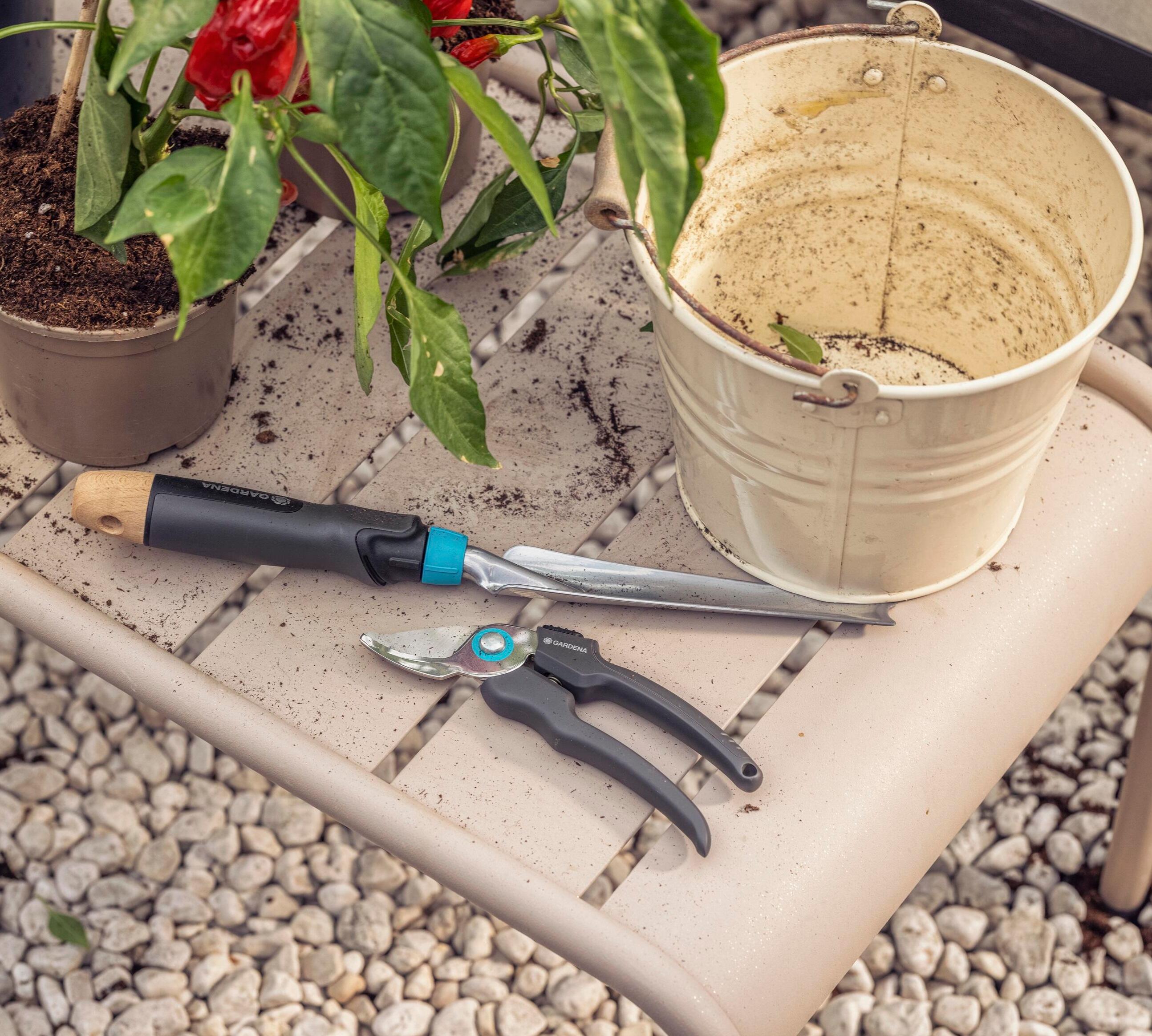 Sécateur à fleurs inox GARDENA Ecoline 12210-20 18 mm - 9