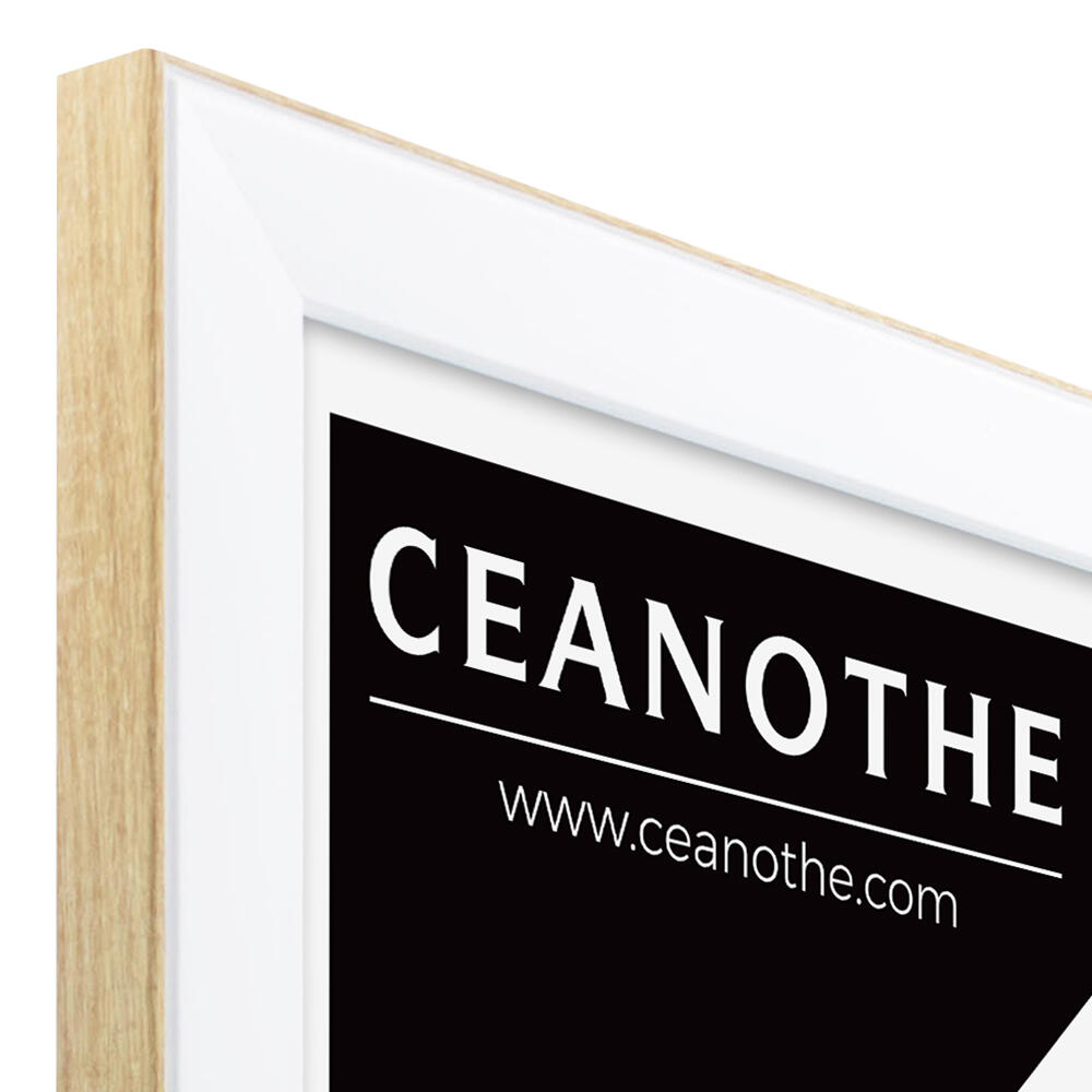 Cadre Newton brut, 30 x 40 cm blanc, CEANOTHE - 7
