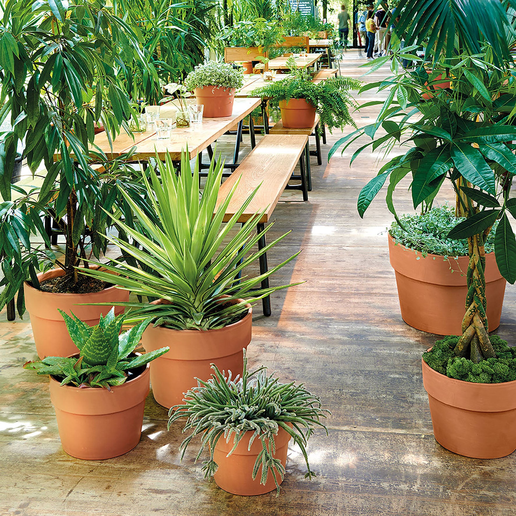Pot terre cuite DEROMA Cotto garden Diam.38.9 H.30.8 cm - 2