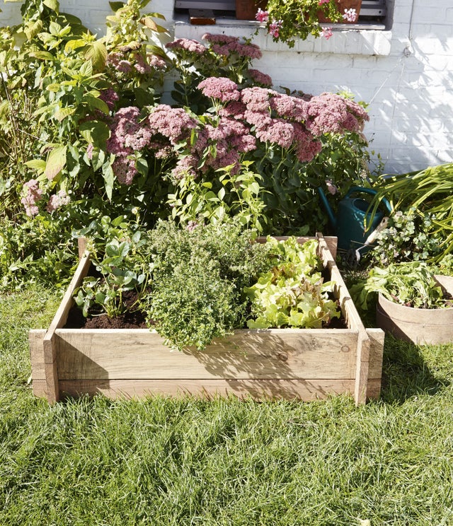 Potager au sol bois l.80 x H.21 cm