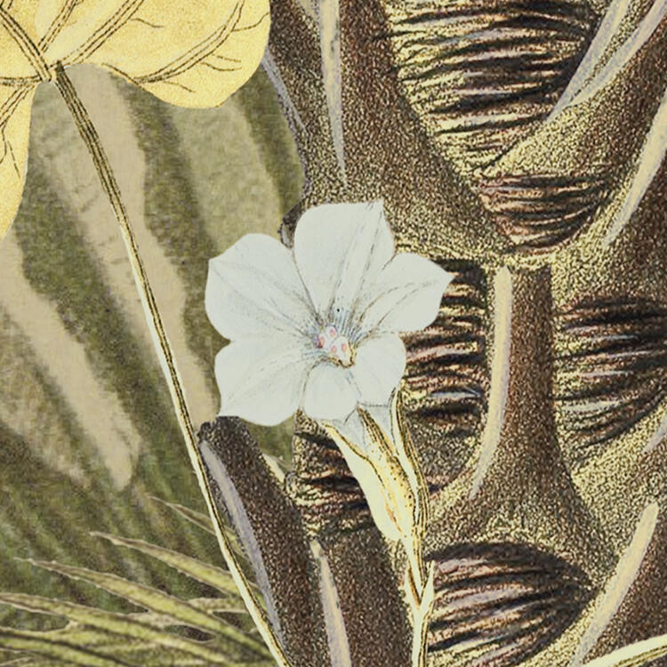 Papel de parede tnt tropical multicor - 6