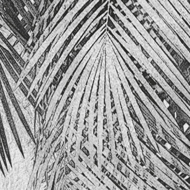 Papier peint panoramique coco paradis gris l.350 x H.250 cm - 5