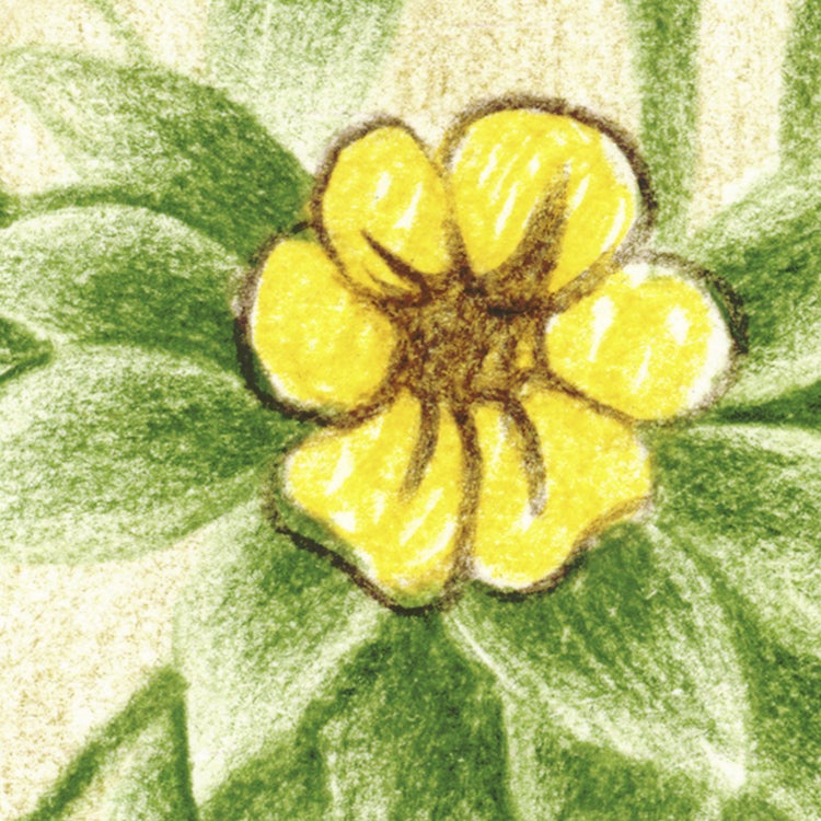 Papier peint panoramique Jungle adventure vert l.350 x H.250 cm - 4