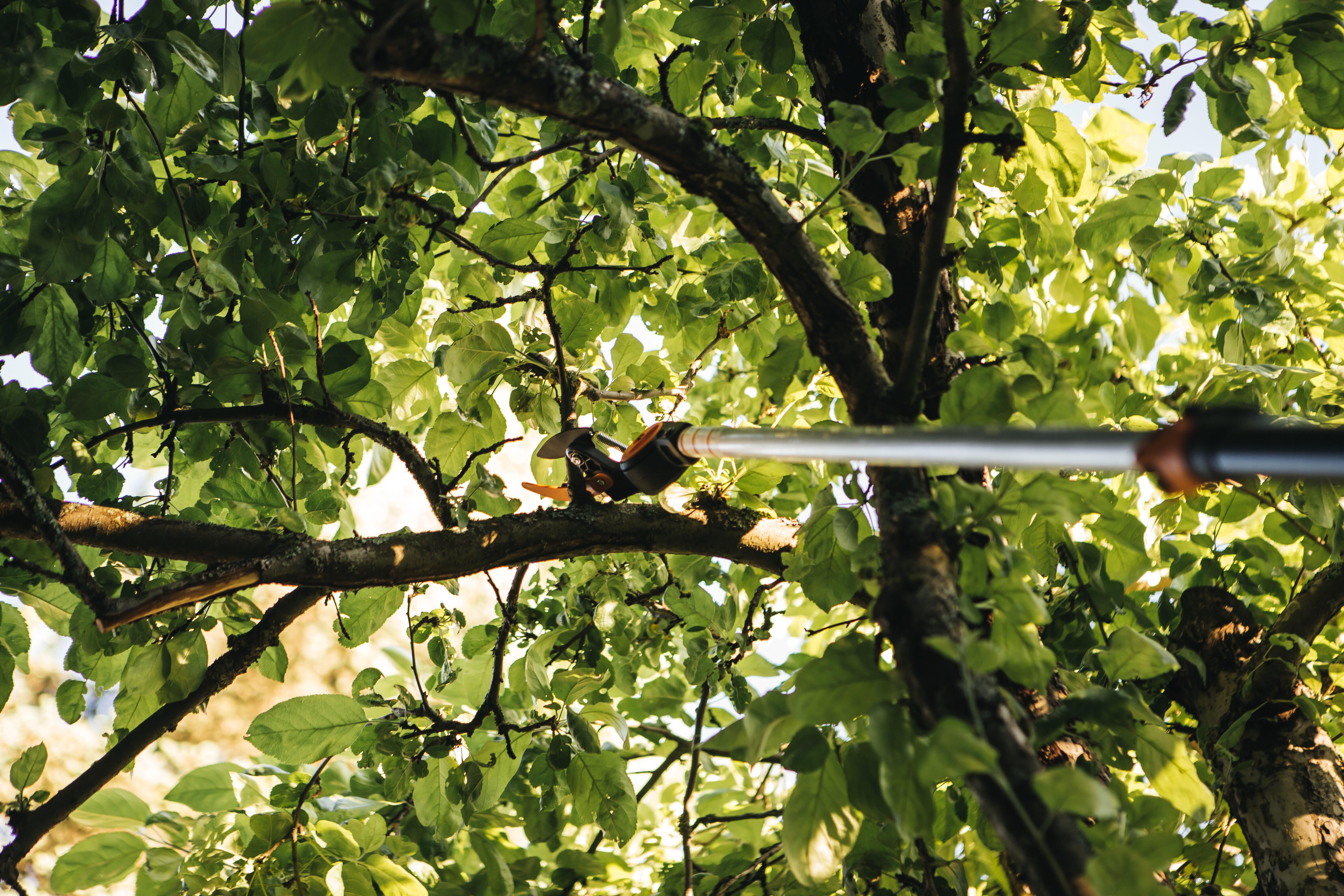 Coupe-Branches Multifonct. FISKARS PowerGear™X UPX82 portée 3,5m Ø32mm - 13