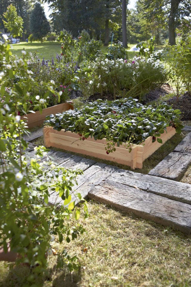 Cerland Carré Potager En Bois 203L Basil - 100 X 100 X 27 Cm Pour Jardinage