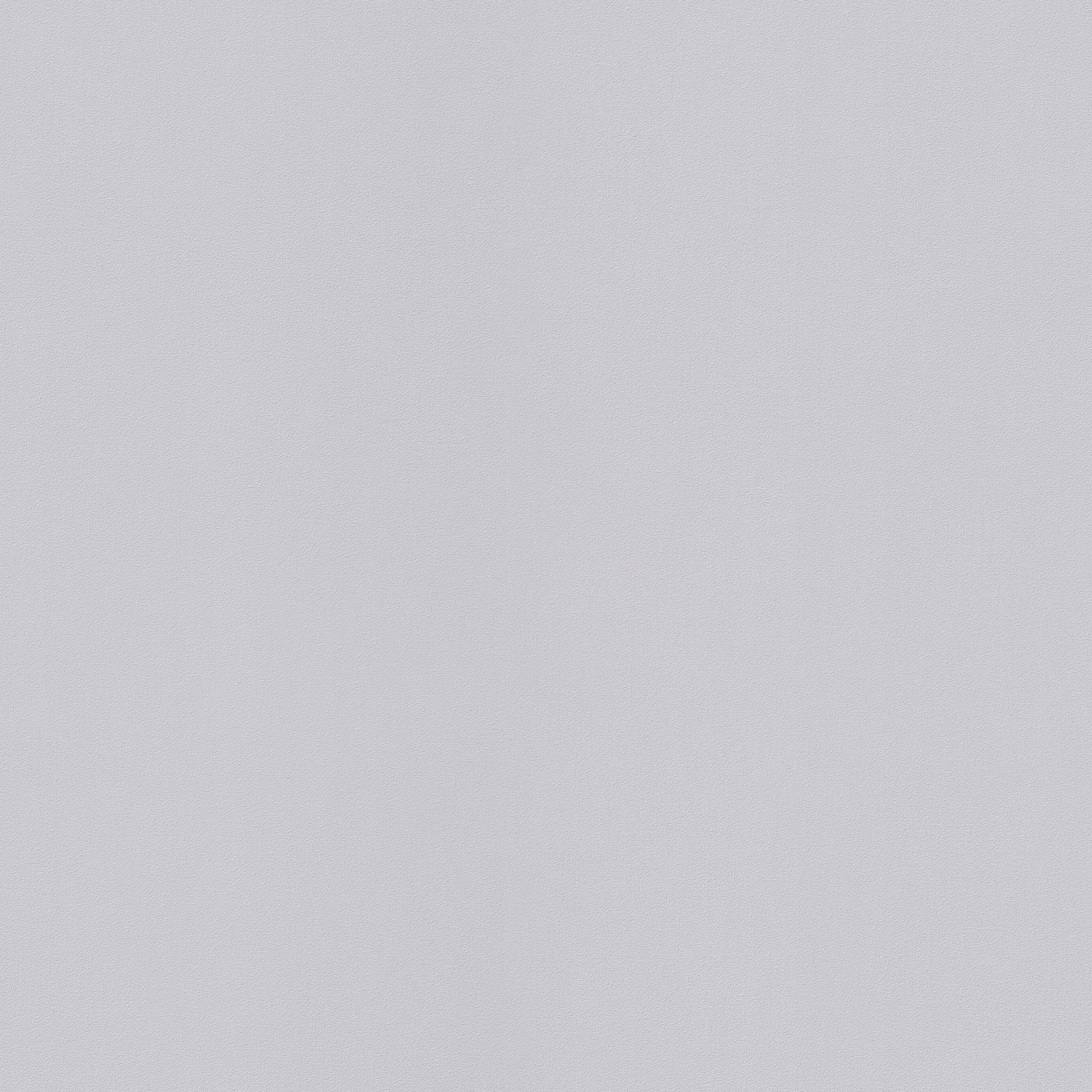 Papier peint vinyle Lisse et mat gris-gris n°6 - 3