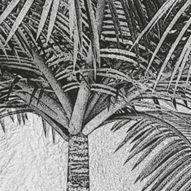 Papier peint panoramique coco paradis gris l.350 x H.250 cm - 4