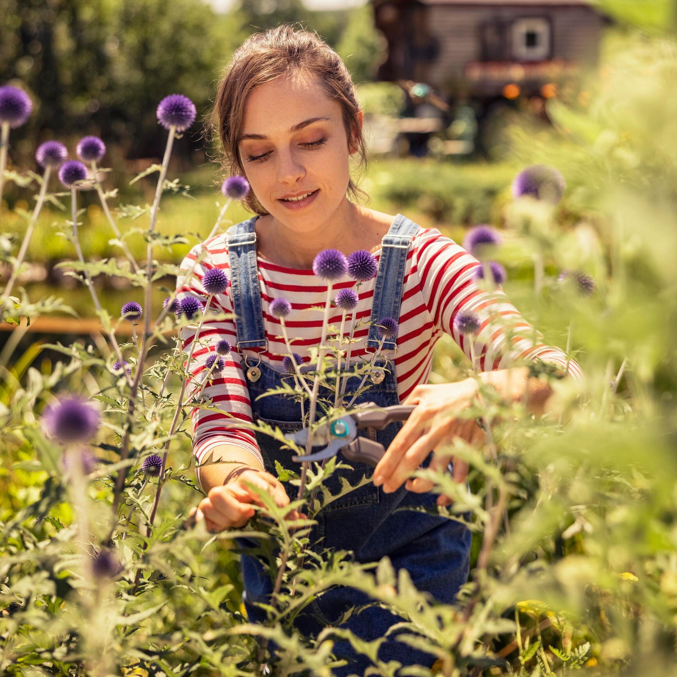 Sécateur à fleurs inox GARDENA Ecoline 12210-20 18 mm - 10