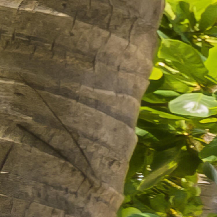 Papier peint panoramique rêve de coco multicolore l.300 x H.250 cm - 3