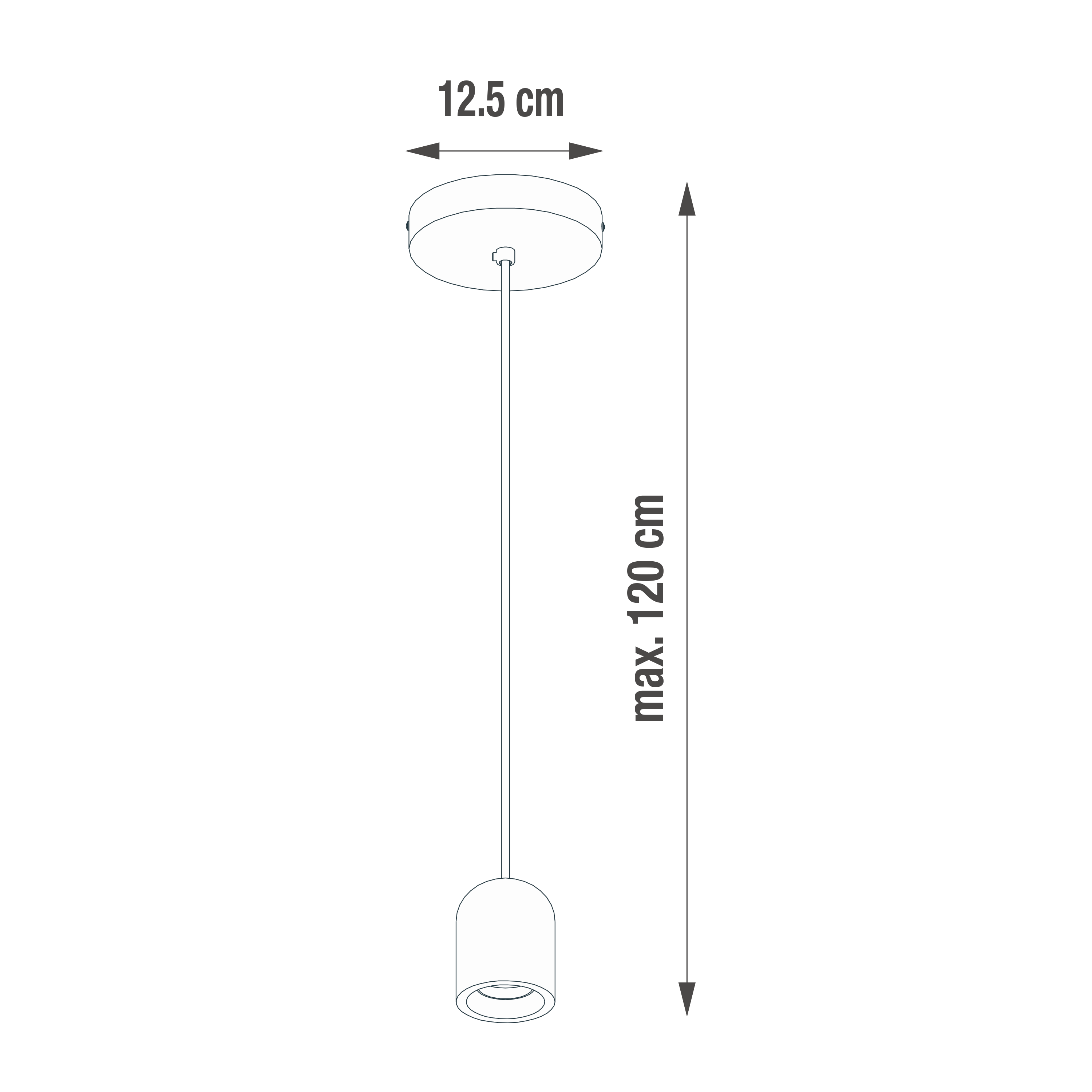 Suspension Rood ciment, noir, Diam.6.4 cm INSPIRE, E27 - 9