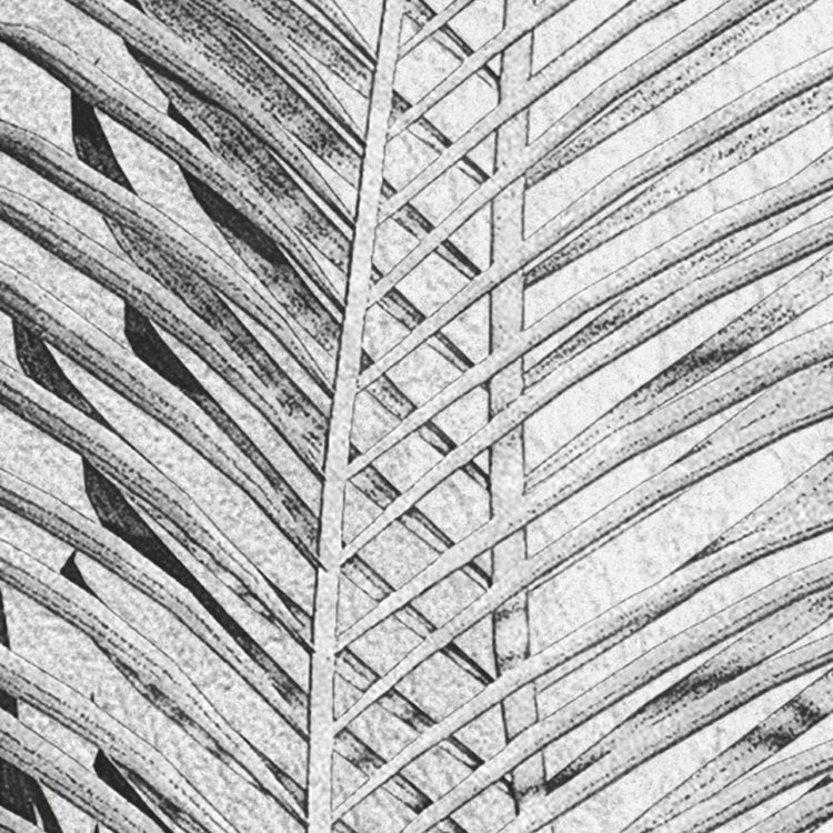Papier peint panoramique coco paradis gris l.350 x H.250 cm - 7