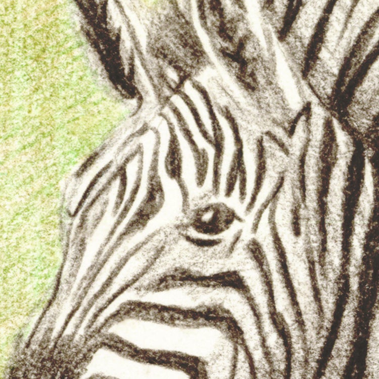 Papier peint panoramique Jungle adventure vert l.350 x H.250 cm - 7