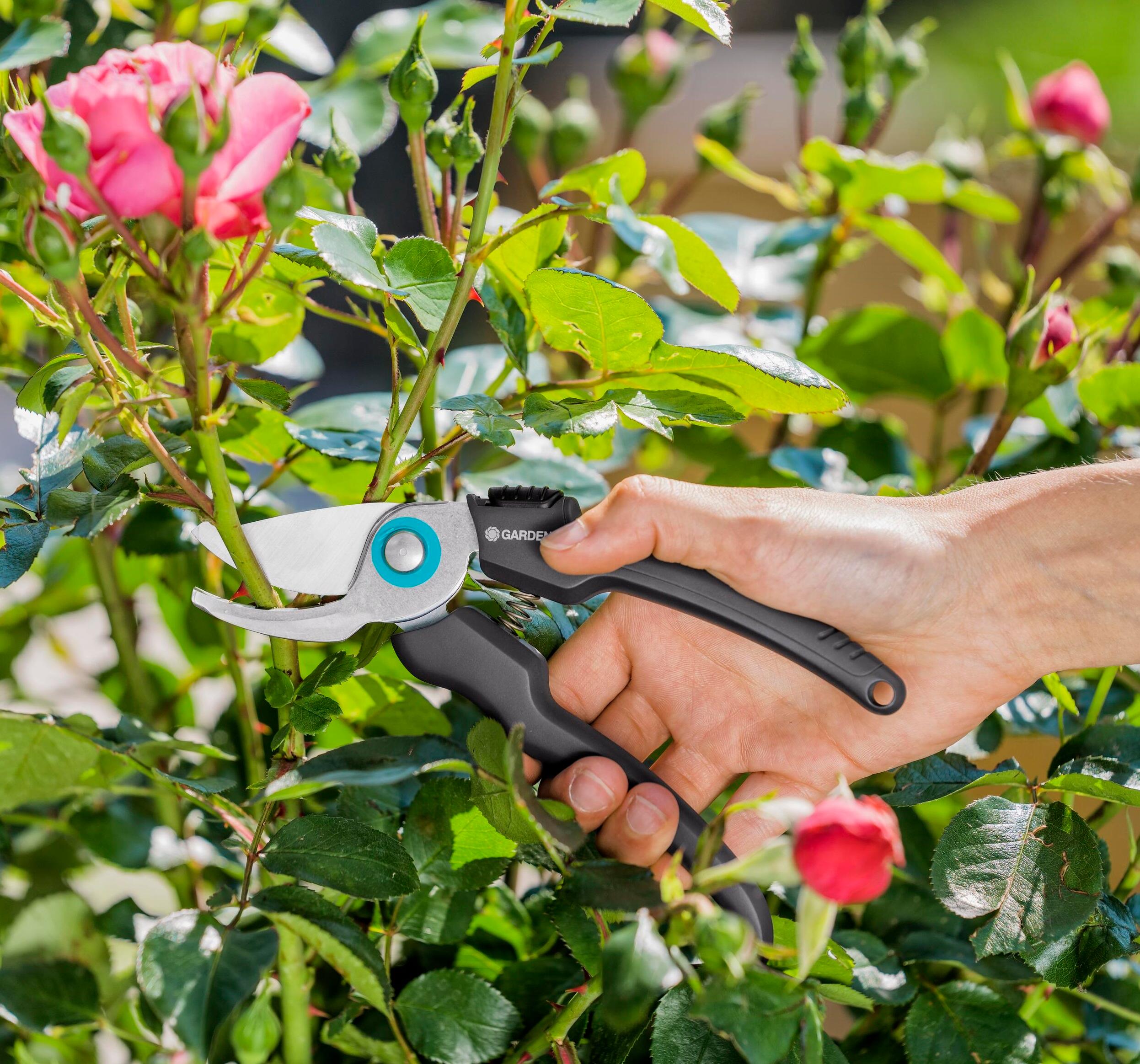 Sécateur à fleurs inox GARDENA Ecoline 12210-20 18 mm - 8