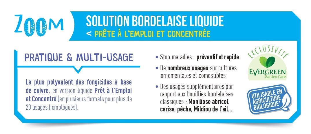 Bouillie bordelaise FERTILIGENE, 800 ml - 3