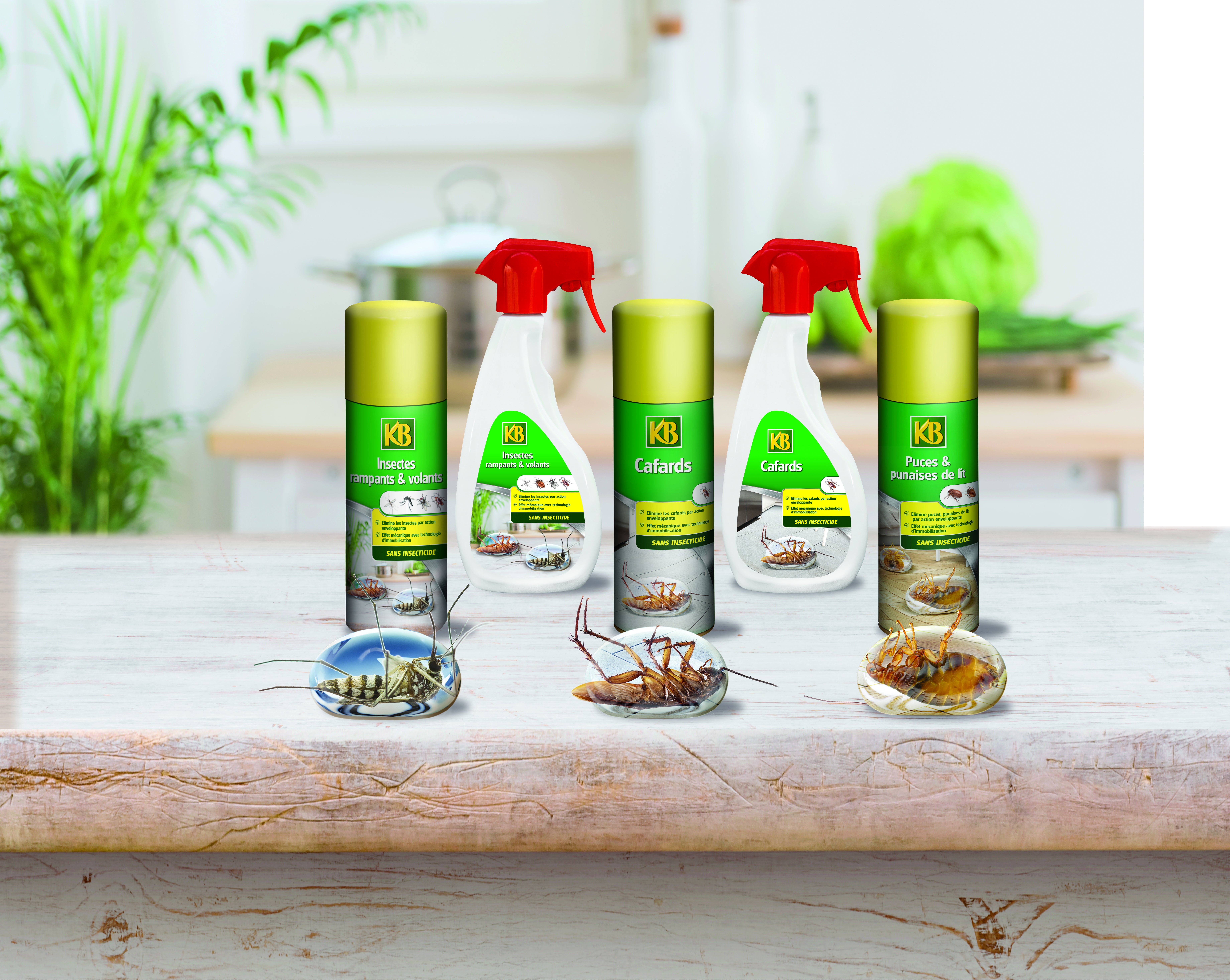 Anti-insectes pulvérisateur insectes volants et rampants KB, 500ml - 3