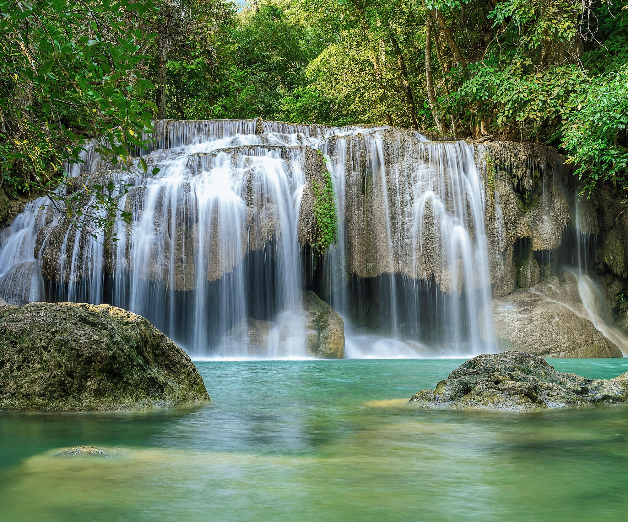 Papier peint panoramique lieu de pouvoir vert l.300 x H.250 cm - 2