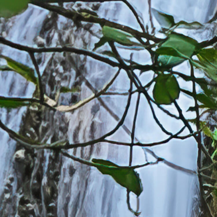 Papier peint panoramique lieu de pouvoir vert l.300 x H.250 cm - 7