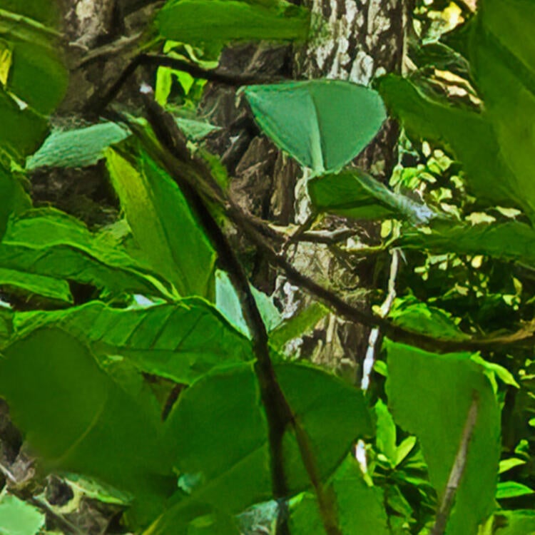 Papier peint panoramique lieu de pouvoir vert l.300 x H.250 cm - 3