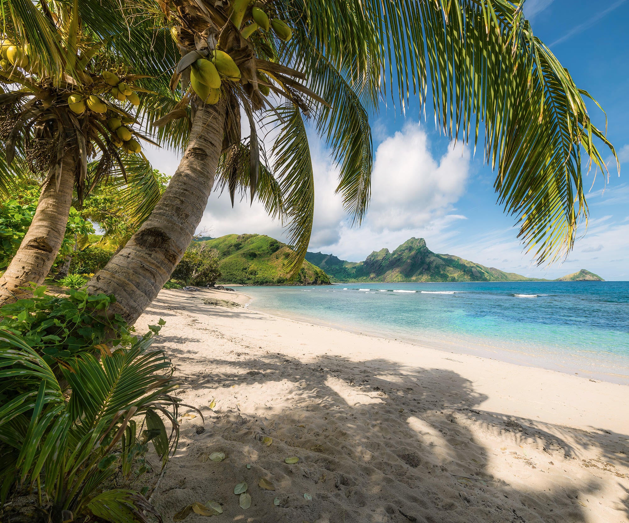 Papier peint panoramique rêve de coco multicolore l.300 x H.250 cm - 7