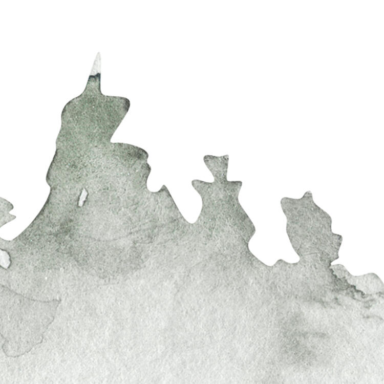 Papier peint panoramique animaux en forêt blanc l.350 x H.250 cm - 7